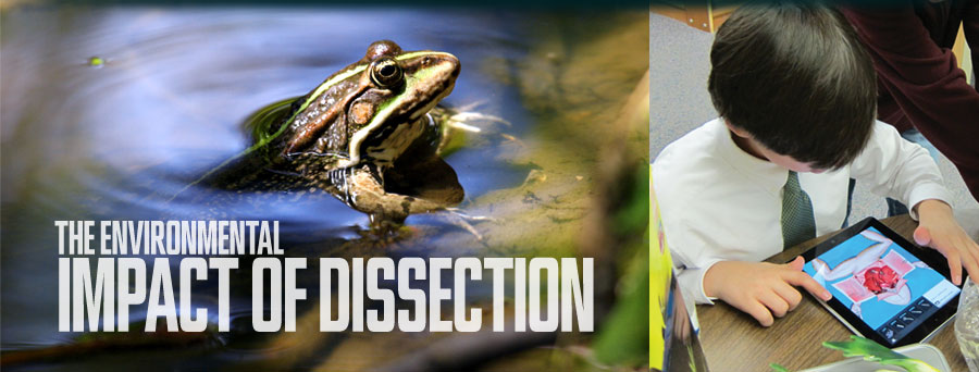 The Environmental Impact of Dissection
